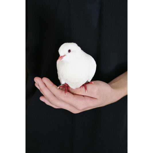 A bird in the hand.