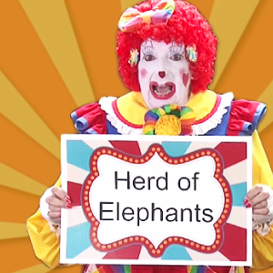 Video: Herd of Elephants with Florabelle of Clowns on Call