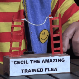 Video: Trained Flea Clown Skit with Poppi