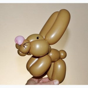 Bouncy Balloon Bunny