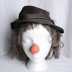 Beginners' Guide to Clown Wigs