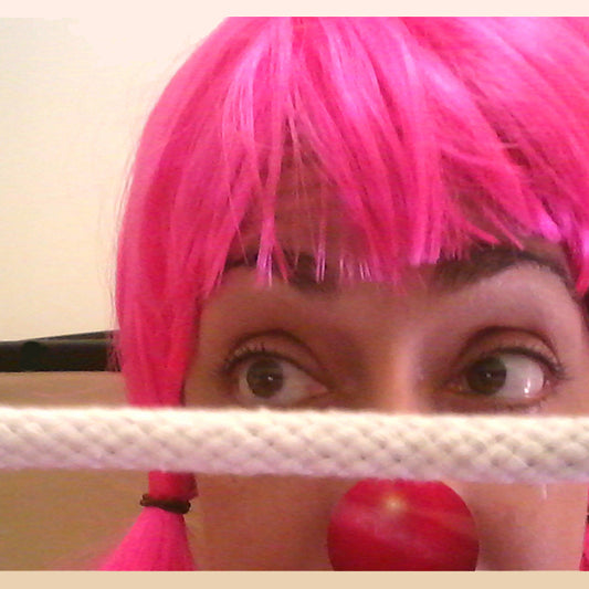 Holiday from Nurse Lulu's Clowning on a Budget