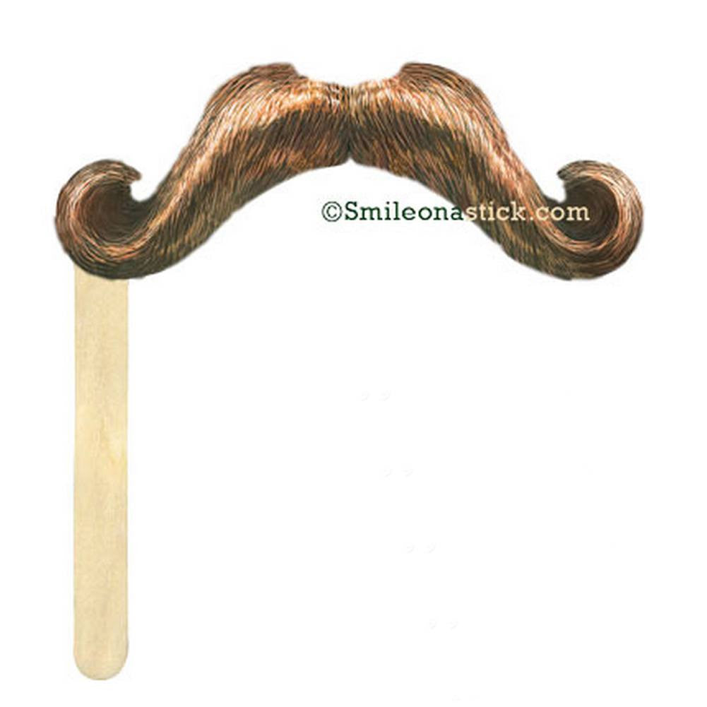 Stache on a Stick - Brown &reg;