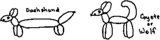 More Balloon Animals