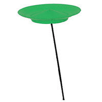 Spinning Plates: