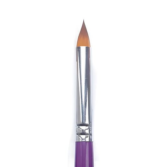 Impact - Dasiy 500 #1