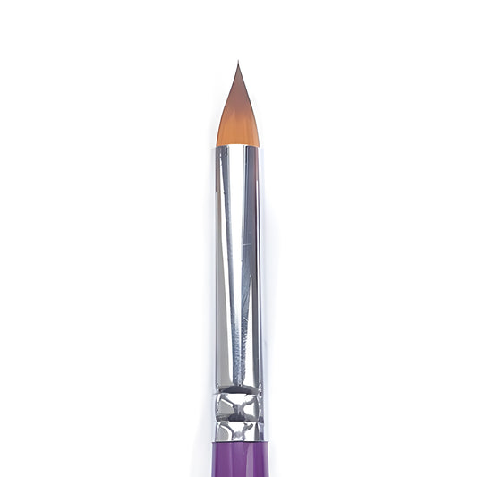 Impact - Dasiy 500 #5