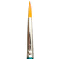 TAG Brush - Aureum Round 4