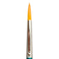 TAG Brush - Aureum Round 6