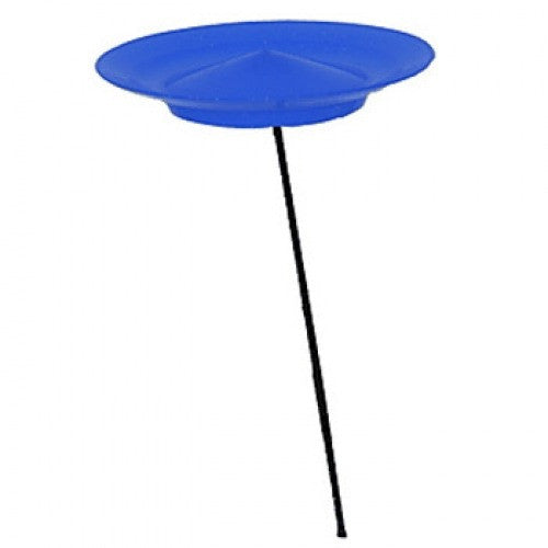 Higgins Brothers Spinning Plates:
