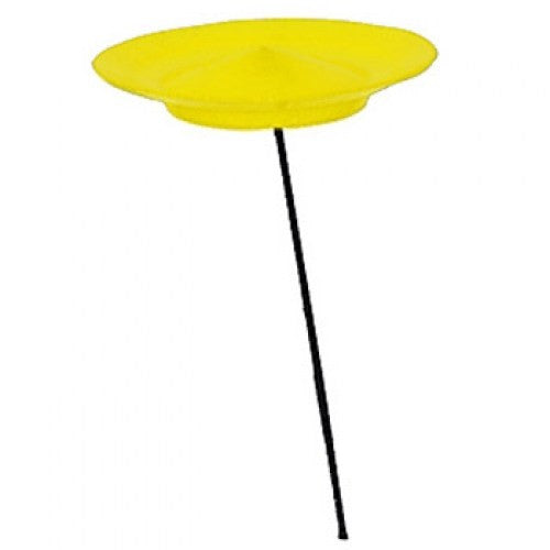 Higgins Brothers Spinning Plates - Yellow