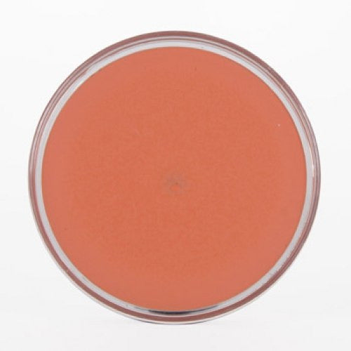 Ben Nye Clown Series Makeup - Auguste FP-100 (1 oz)